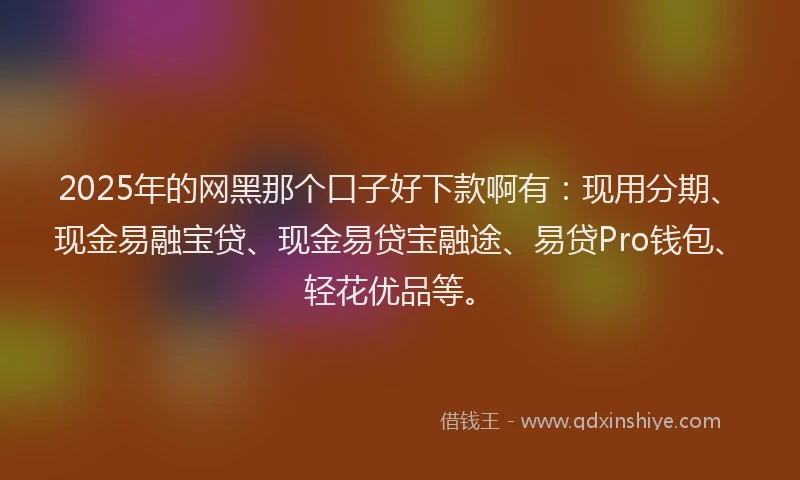 2025年的网黑那个口子好下款啊有：现用分期、现金易融宝贷、现金易贷宝融途、易贷Pro钱包、轻花优品等。