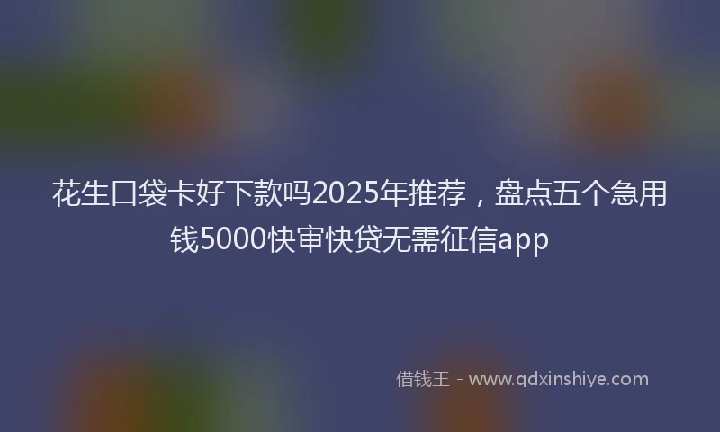 花生口袋卡好下款吗2025年推荐，盘点五个急用钱5000快审快贷无需征信app