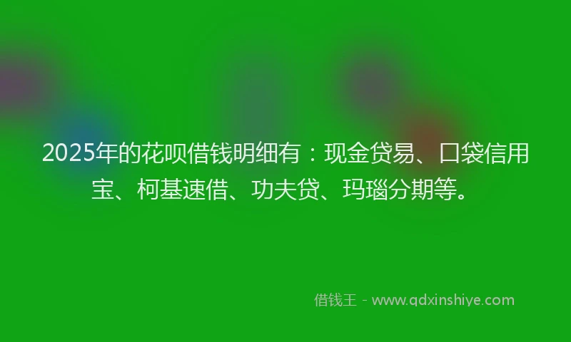 2025年的花呗借钱明细有：现金贷易、口袋信用宝、柯基速借、功夫贷、玛瑙分期等。