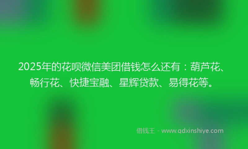 2025年的花呗微信美团借钱怎么还有：葫芦花、畅行花、快捷宝融、星辉贷款、易得花等。