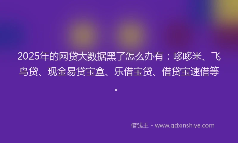 2025年的网贷大数据黑了怎么办有：哆哆米、飞鸟贷、现金易贷宝盒、乐借宝贷、借贷宝速借等。