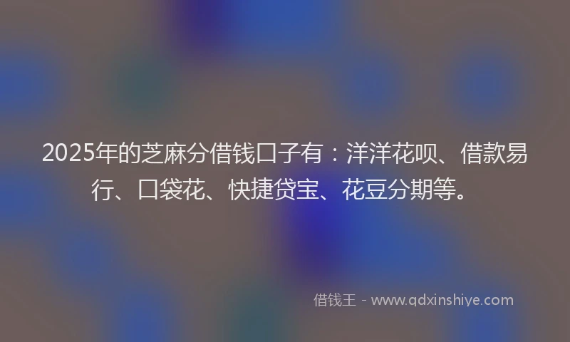 2025年的芝麻分借钱口子有：洋洋花呗、借款易行、口袋花、快捷贷宝、花豆分期等。