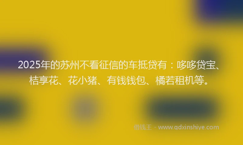 2025年的苏州不看征信的车抵贷有：哆哆贷宝、桔享花、花小猪、有钱钱包、橘若租机等。