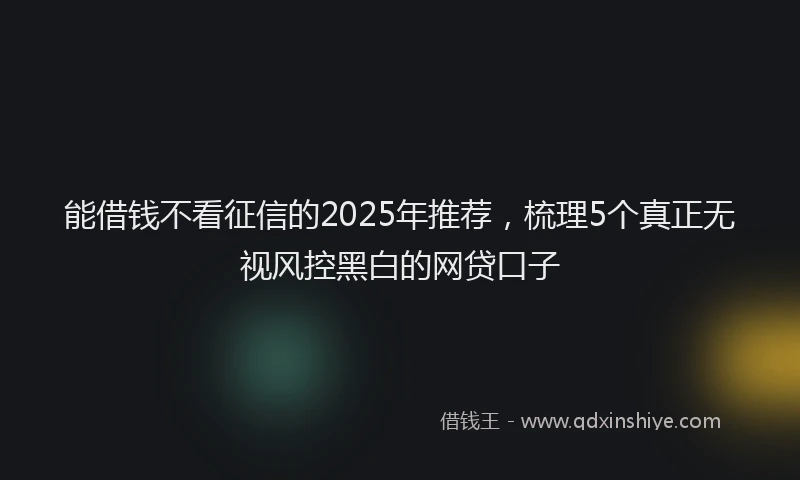 能借钱不看征信的2025年推荐，梳理5个真正无视风控黑白的网贷口子