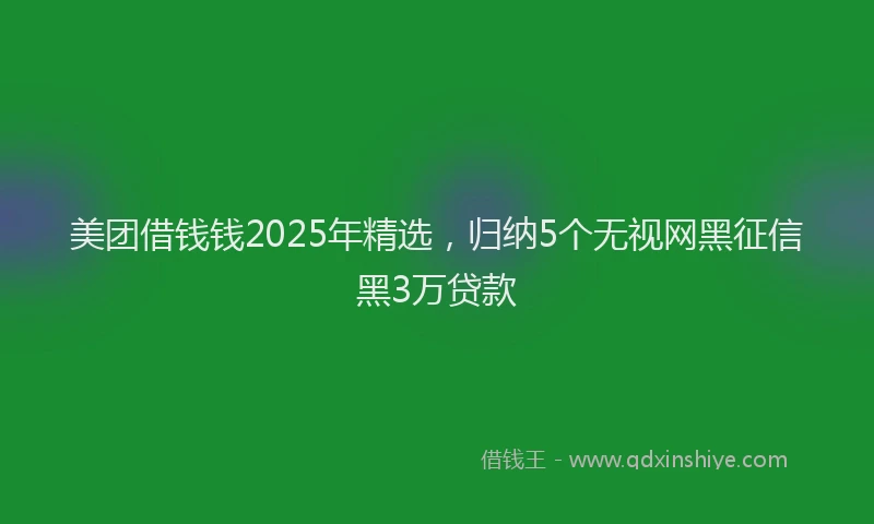 美团借钱钱2025年精选，归纳5个无视网黑征信黑3万贷款