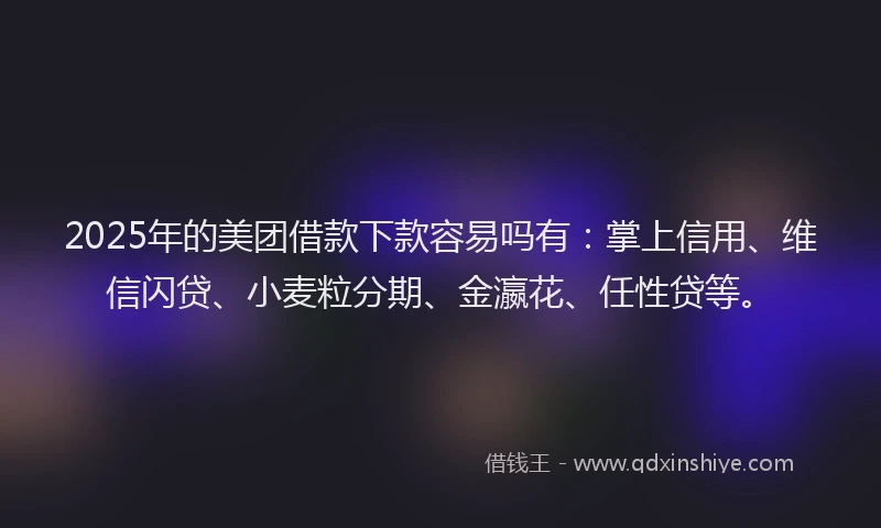 2025年的美团借款下款容易吗有:掌上信用、维信闪贷、小麦粒分期、金瀛花、任性贷等。