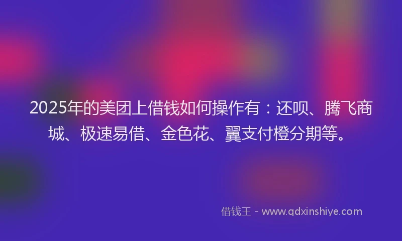2025年的美团上借钱如何操作有：还呗、腾飞商城、极速易借、金色花、翼支付橙分期等。