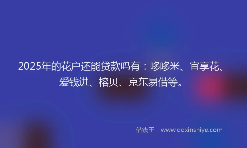 2025年的花户还能贷款吗有：哆哆米、宜享花、爱钱进、榕贝、京东易借等。