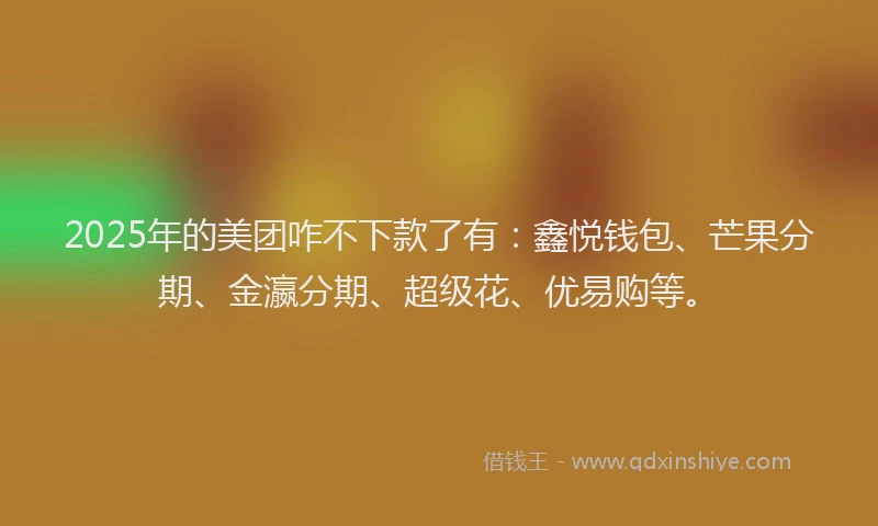 2025年的美团咋不下款了有：鑫悦钱包、芒果分期、金瀛分期、超级花、优易购等。