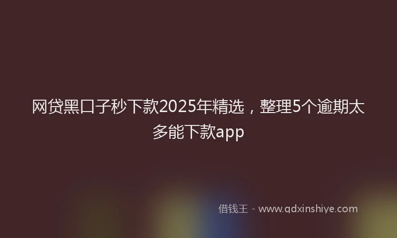 网贷黑口子秒下款2025年精选，整理5个逾期太多能下款app