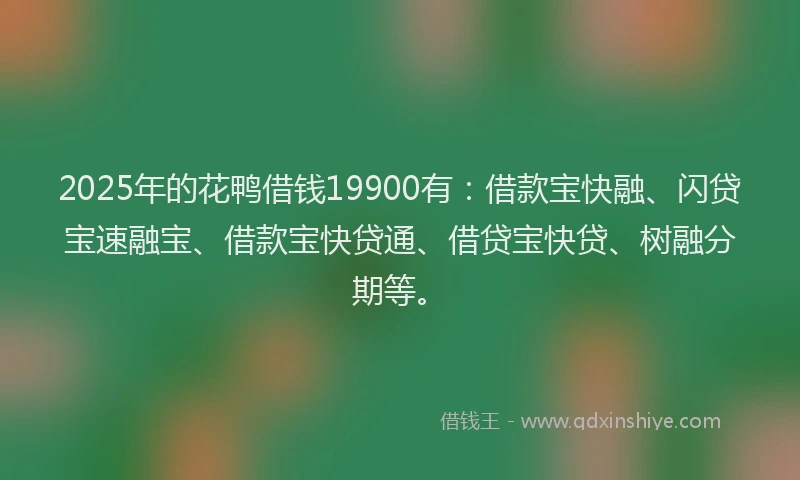2025年的花鸭借钱19900有：借款宝快融、闪贷宝速融宝、借款宝快贷通、借贷宝快贷、树融分期等。