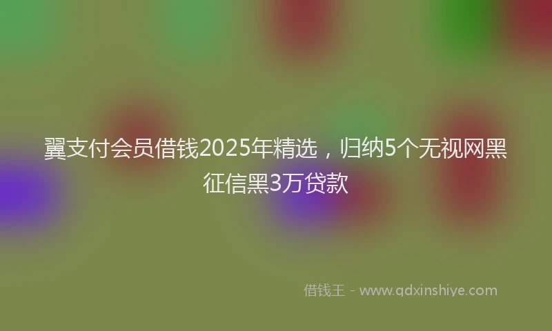 翼支付会员借钱2025年精选，归纳5个无视网黑征信黑3万贷款