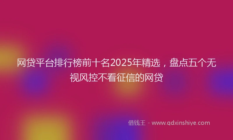 网贷平台排行榜前十名2025年精选，盘点五个无视风控不看征信的网贷