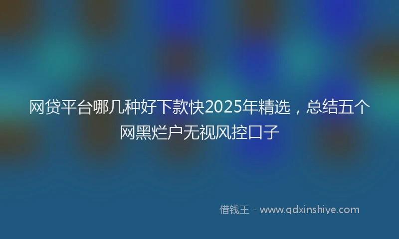 网贷平台哪几种好下款快2025年精选，总结五个网黑烂户无视风控口子