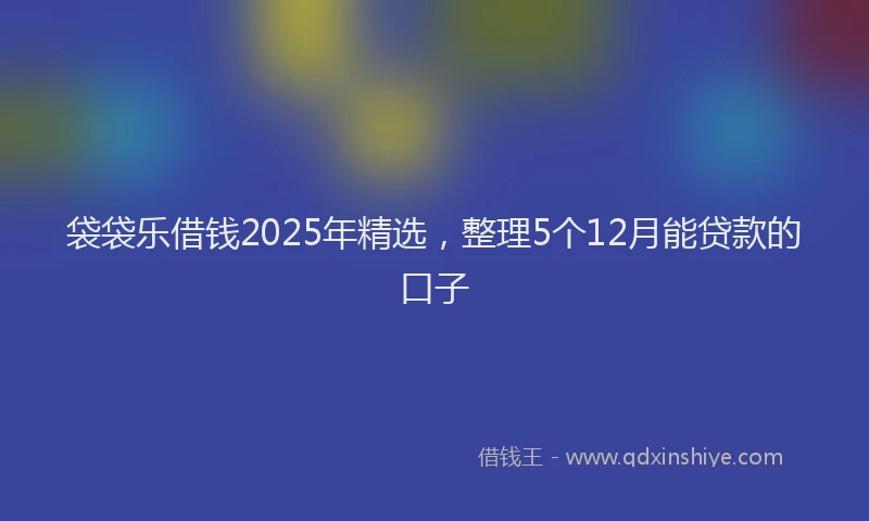 袋袋乐借钱2025年精选，整理5个12月能贷款的口子