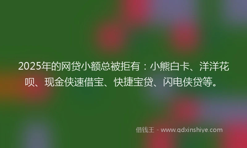 2025年的网贷小额总被拒有：小熊白卡、洋洋花呗、现金侠速借宝、快捷宝贷、闪电侠贷等。