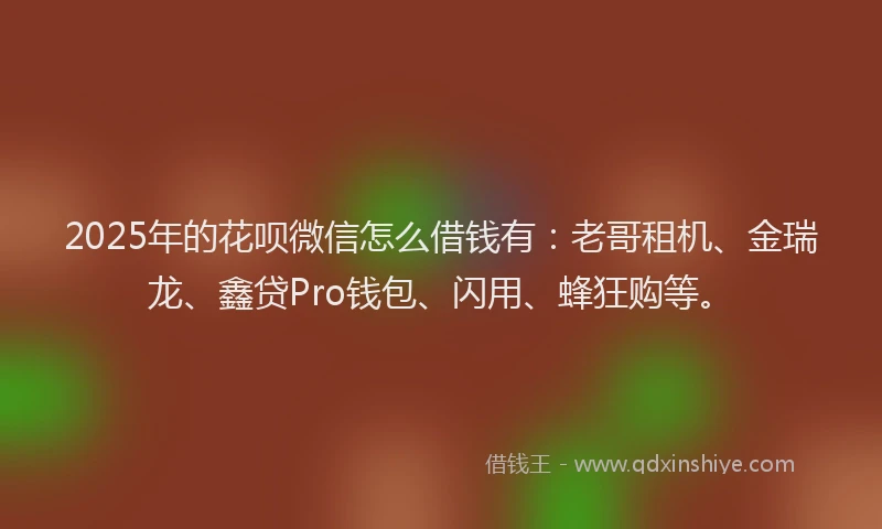 2025年的花呗微信怎么借钱有：老哥租机、金瑞龙、鑫贷Pro钱包、闪用、蜂狂购等。