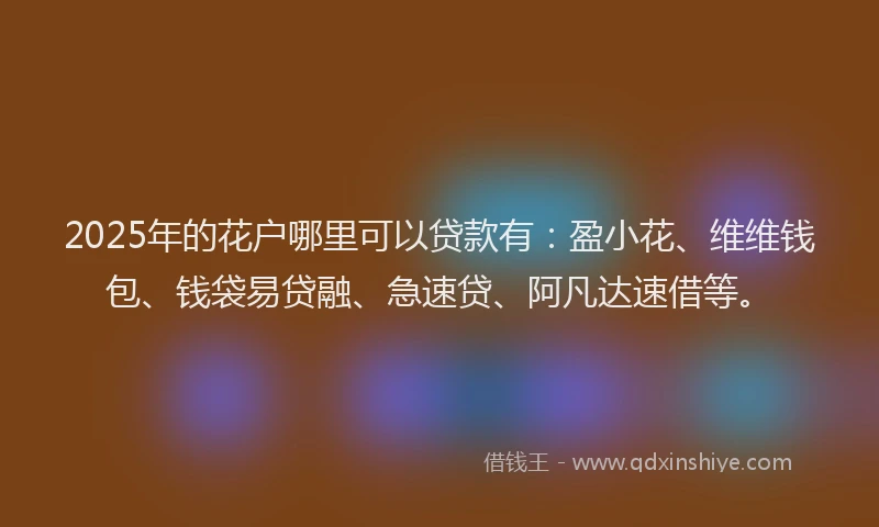2025年的花户哪里可以贷款有：盈小花、维维钱包、钱袋易贷融、急速贷、阿凡达速借等。