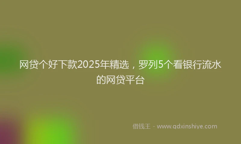 网贷个好下款2025年精选，罗列5个看银行流水的网贷平台