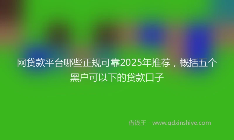 网贷款平台哪些正规可靠2025年推荐，概括五个黑户可以下的贷款口子