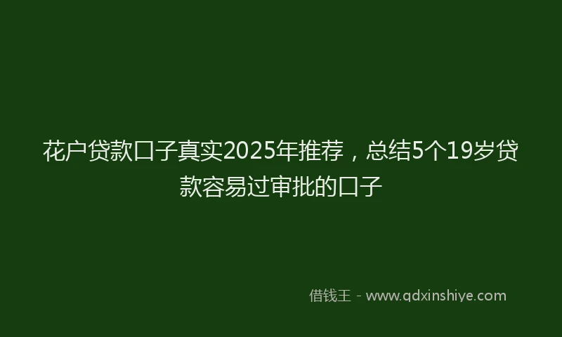 花户贷款口子真实2025年推荐，总结5个19岁贷款容易过审批的口子