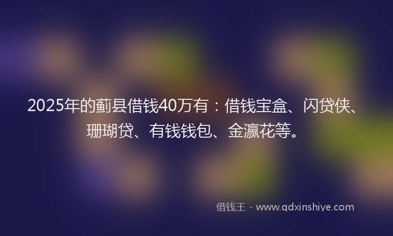 2025年的蓟县借钱40万有：借钱宝盒、闪贷侠、珊瑚贷、有钱钱包、金瀛花等。