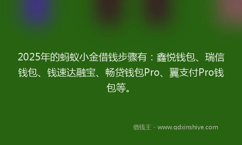2025年的蚂蚁小金借钱步骤有：鑫悦钱包、瑞信钱包、钱速达融宝、畅贷钱包Pro、翼支付Pro钱包等。