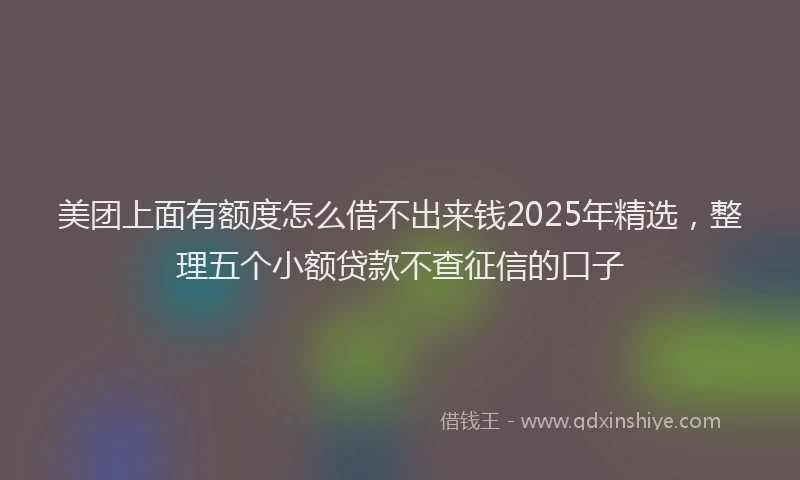 美团上面有额度怎么借不出来钱2025年精选，整理五个小额贷款不查征信的口子