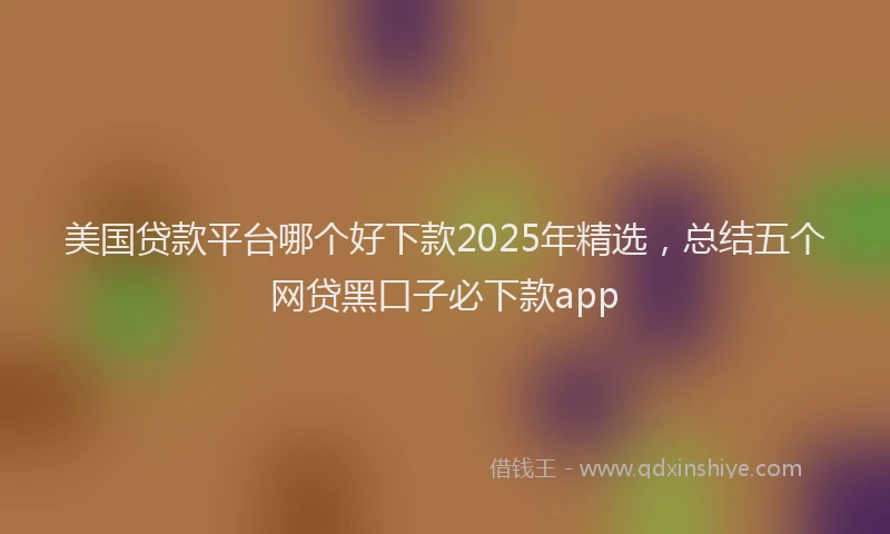 美国贷款平台哪个好下款2025年精选，总结五个网贷黑口子必下款app