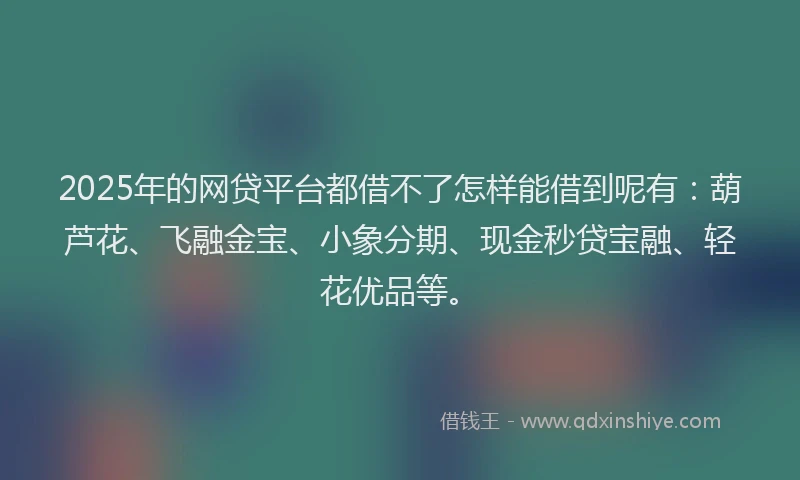 2025年的网贷平台都借不了怎样能借到呢有：葫芦花、飞融金宝、小象分期、现金秒贷宝融、轻花优品等。