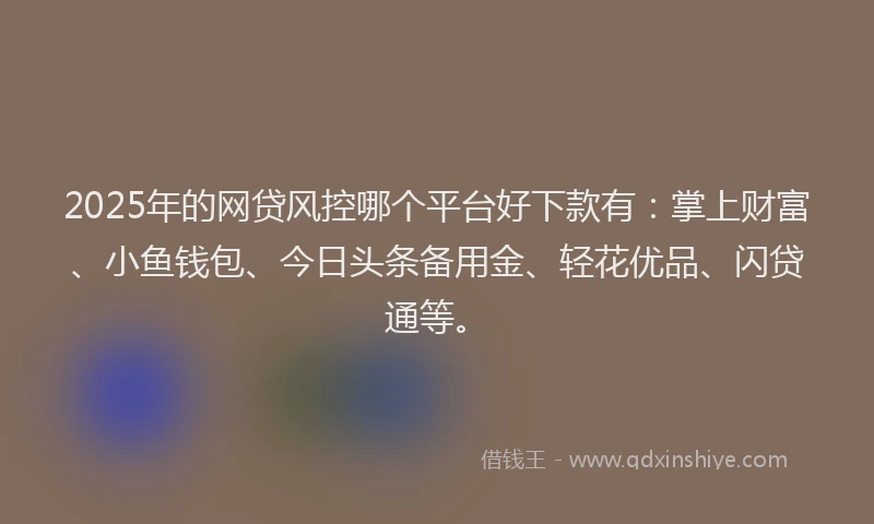 2025年的网贷风控哪个平台好下款有：掌上财富、小鱼钱包、今日头条备用金、轻花优品、闪贷通等。