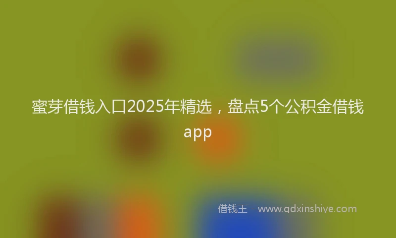 蜜芽借钱入口2025年精选，盘点5个公积金借钱app