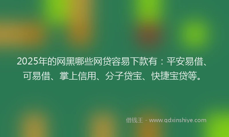 2025年的网黑哪些网贷容易下款有：平安易借、可易借、掌上信用、分子贷宝、快捷宝贷等。