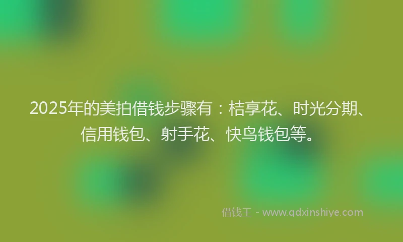 2025年的美拍借钱步骤有：桔享花、时光分期、信用钱包、射手花、快鸟钱包等。