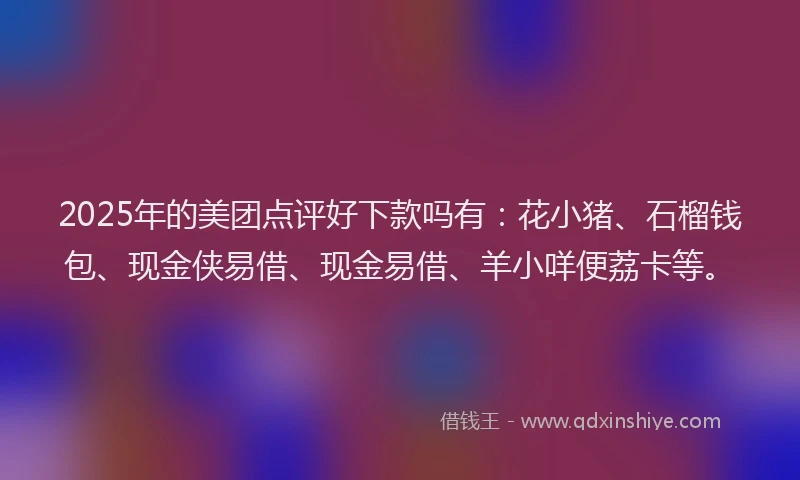 2025年的美团点评好下款吗有：花小猪、石榴钱包、现金侠易借、现金易借、羊小咩便荔卡等。