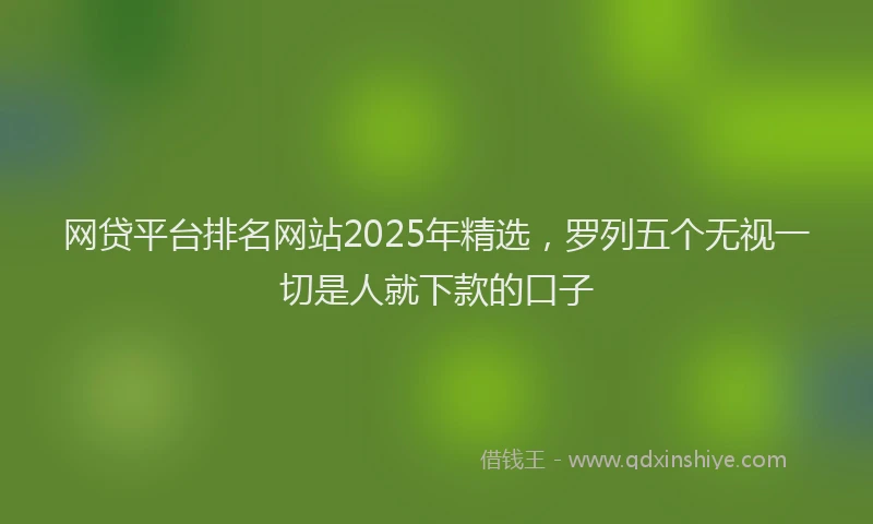 网贷平台排名网站2025年精选，罗列五个无视一切是人就下款的口子