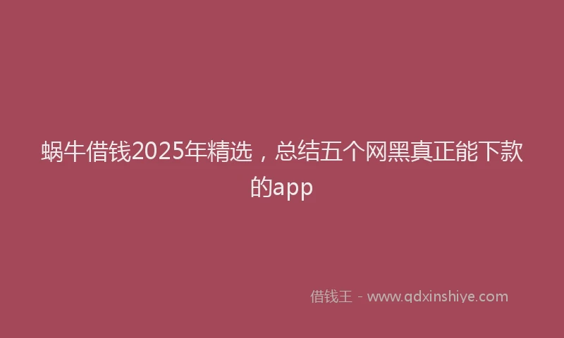 蜗牛借钱2025年精选，总结五个网黑真正能下款的app