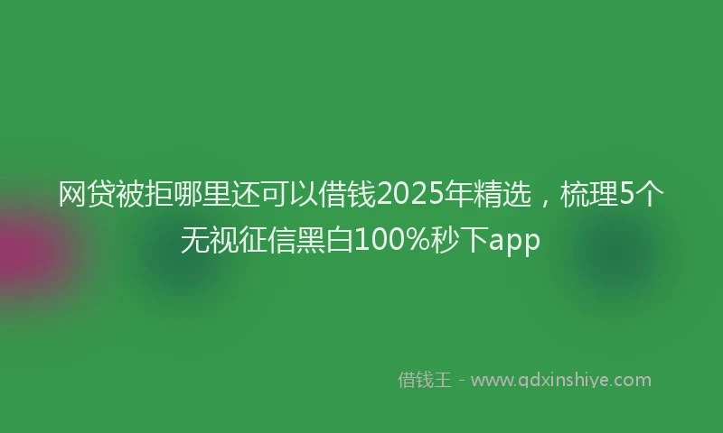 网贷被拒哪里还可以借钱2025年精选，梳理5个无视征信黑白100%秒下app