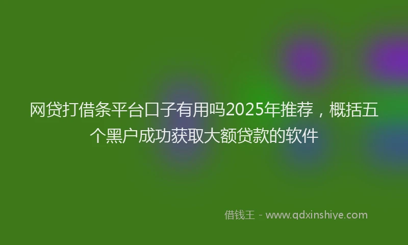 网贷打借条平台口子有用吗2025年推荐，概括五个黑户成功获取大额贷款的软件