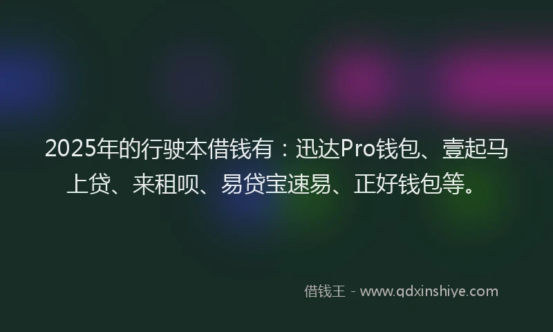 2025年的行驶本借钱有：迅达Pro钱包、壹起马上贷、来租呗、易贷宝速易、正好钱包等。