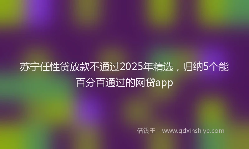 苏宁任性贷放款不通过2025年精选，归纳5个能百分百通过的网贷app