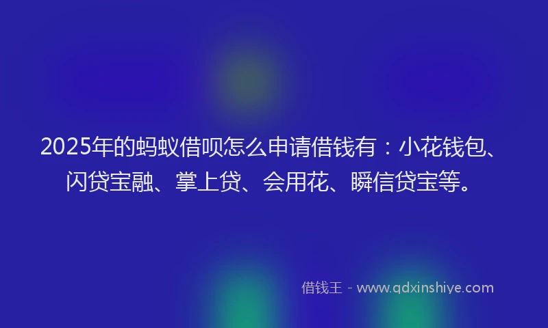 2025年的蚂蚁借呗怎么申请借钱有：小花钱包、闪贷宝融、掌上贷、会用花、瞬信贷宝等。