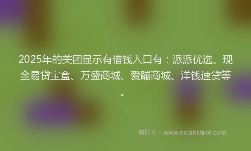 2025年的美团显示有借钱入口有：派派优选、现金易贷宝盒、万盛商城、爱蹦商城、洋钱速贷等。