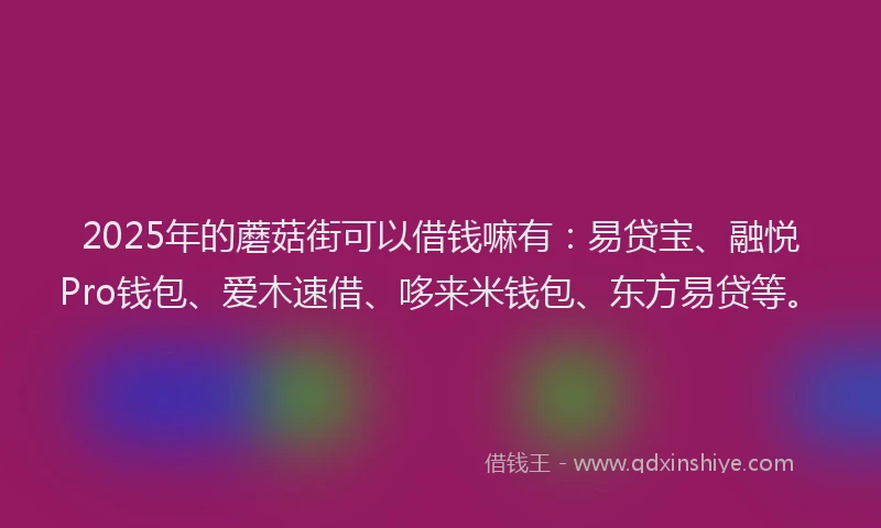 2025年的蘑菇街可以借钱嘛有：易贷宝、融悦Pro钱包、爱木速借、哆来米钱包、东方易贷等。