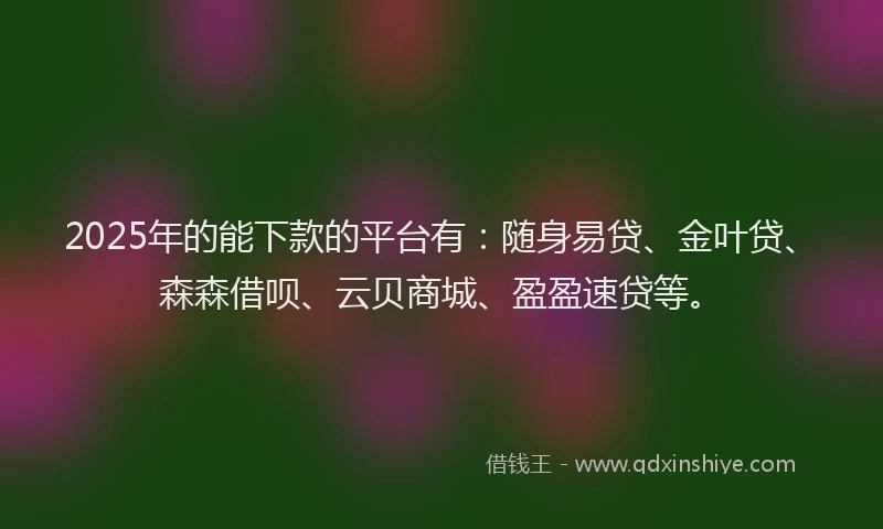 2025年的能下款的平台有：随身易贷、金叶贷、森森借呗、云贝商城、盈盈速贷等。