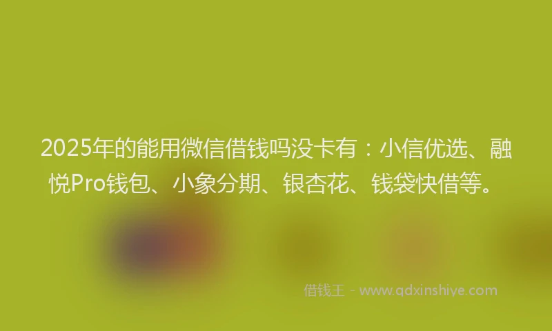 2025年的能用微信借钱吗没卡有：小信优选、融悦Pro钱包、小象分期、银杏花、钱袋快借等。