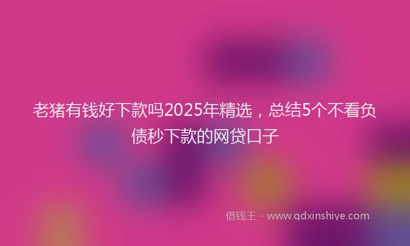 老猪有钱好下款吗2025年精选，总结5个不看负债秒下款的网贷口子