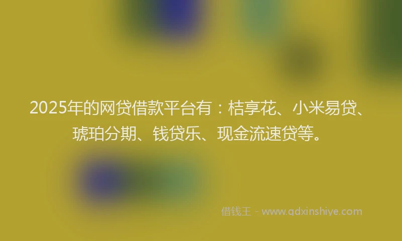 2025年的网贷借款平台有：桔享花、小米易贷、琥珀分期、钱贷乐、现金流速贷等。
