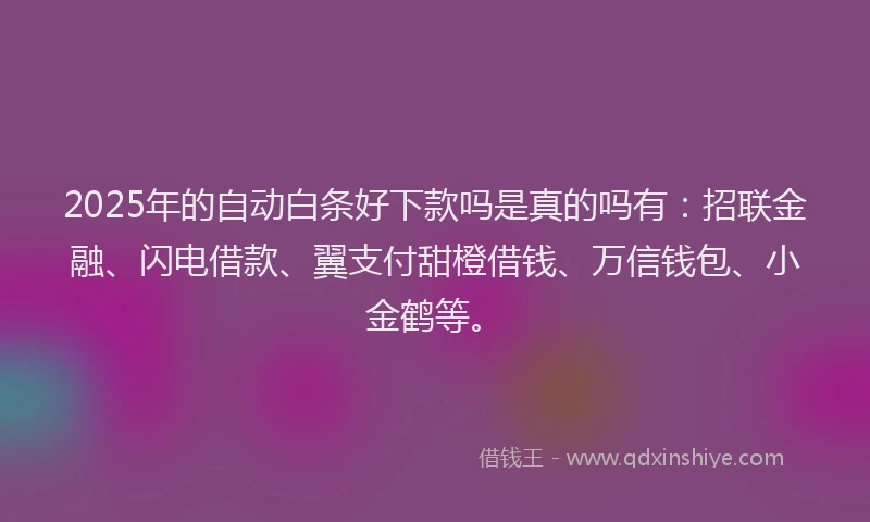 2025年的自动白条好下款吗是真的吗有：招联金融、闪电借款、翼支付甜橙借钱、万信钱包、小金鹤等。