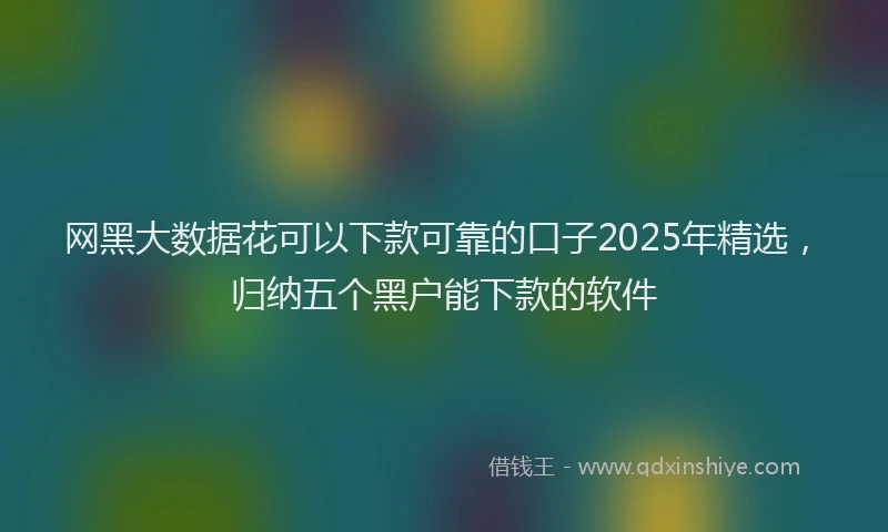 网黑大数据花可以下款可靠的口子2025年精选，归纳五个黑户能下款的软件